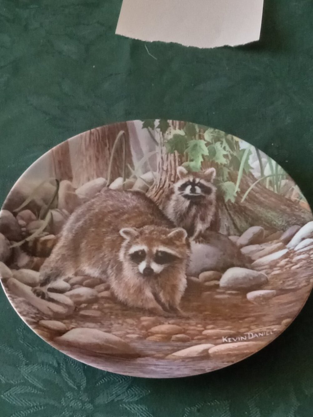 Kevin Daniels collectible plate "The Raccoon" with certificate in box